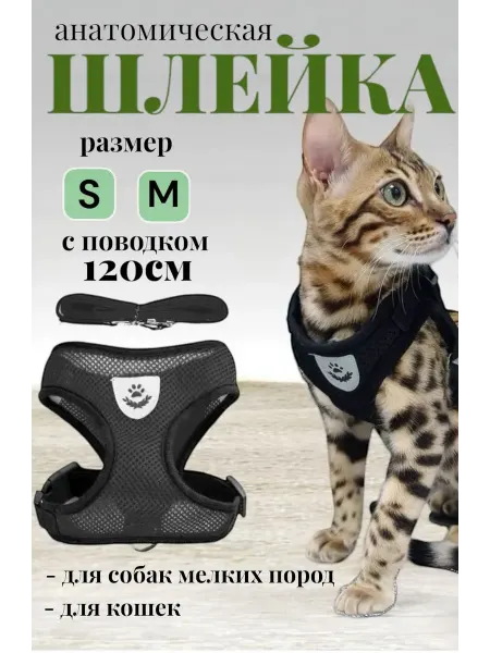 Kotovskie Шлейка для кошек и собак мелких пород