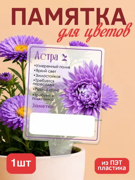 KRASNIKOVA Памятка по уходу за цветами Астра