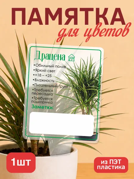 KRASNIKOVA Памятка по уходу за цветами Драцена