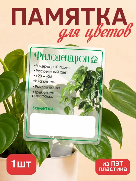 KRASNIKOVA Памятка по уходу за цветами Филодендрон