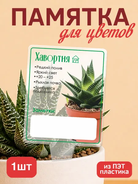 KRASNIKOVA Памятка по уходу за цветами Хавортия