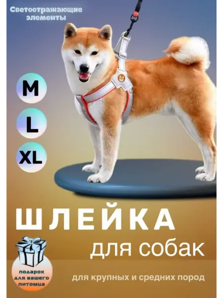 Lapa. Шлейка для собак мелких, средних и крупных пород