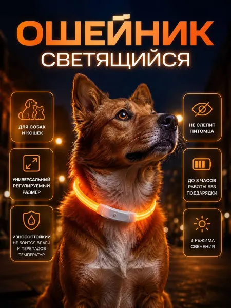 Ледар Светящийся ошейник для кошек и собак оранжевый