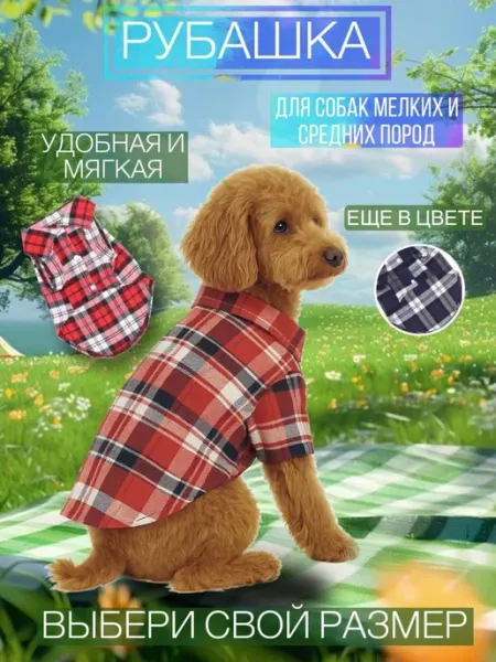 Рубашка для собак мелких пород и кошек