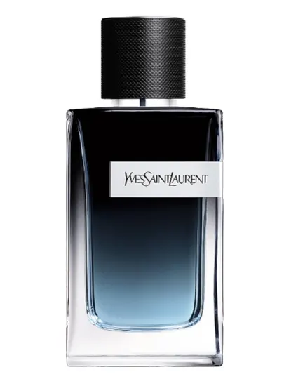 Парфюмерная вода для мужчин Yves Saint Laurent, 100 мл