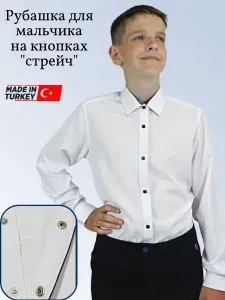 Рубашка PALMARY LEADING классический стиль