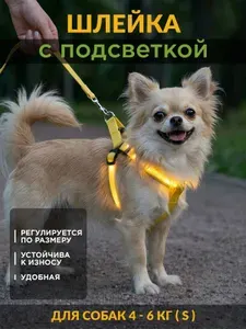 Светодиодная шлейка для собак средних пород LED, размер S, светящаяся прогулочная шлейка с подсветкой для выгула
