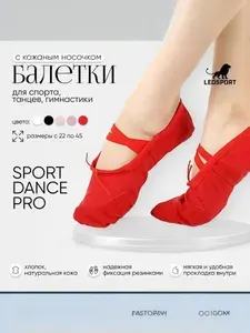 Балетки для танцев LEOSPORT Обувь для танцев