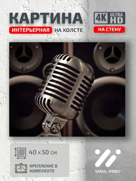 Jz Like Картина на стену микрофон ретро