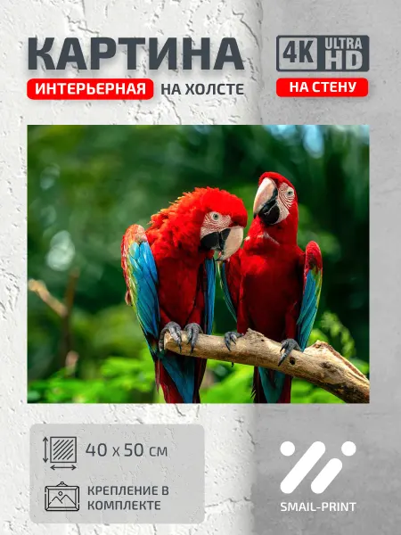 Jz Like Картина на стену Животные Пара птиц ара