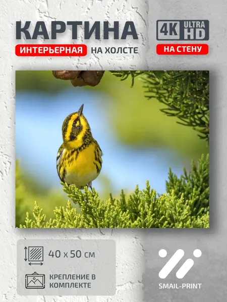 Jz Like Картина на стену Животные птичка ветка цветы