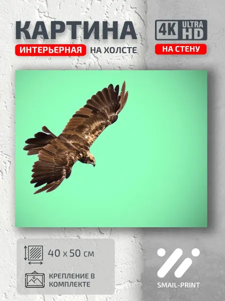 Jz Like Картина на стену Животные птица крылья