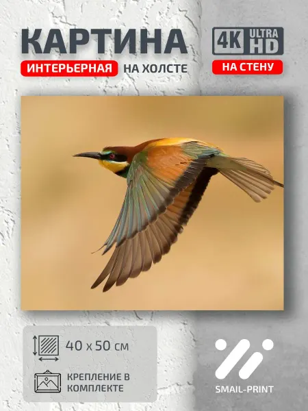 Jz Like Картина на стену Животные птица полет