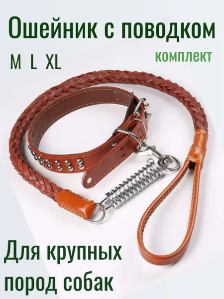 Ошейник с поводком для средних и крупных собак