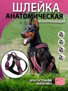 Шлейка для собак средних и крупных пород