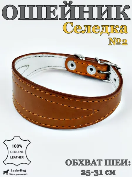 LuckyDog Ошейник для таксы и других