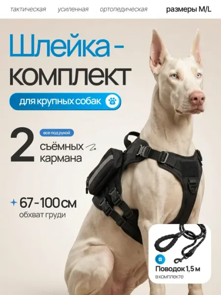 LUCRUM Анатомическая шлейка для собак крупных пород с поводком