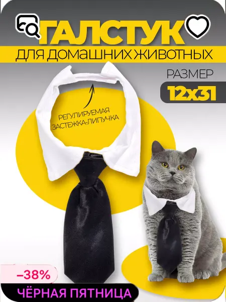 Luxottire Ошейник с галстуком для животных