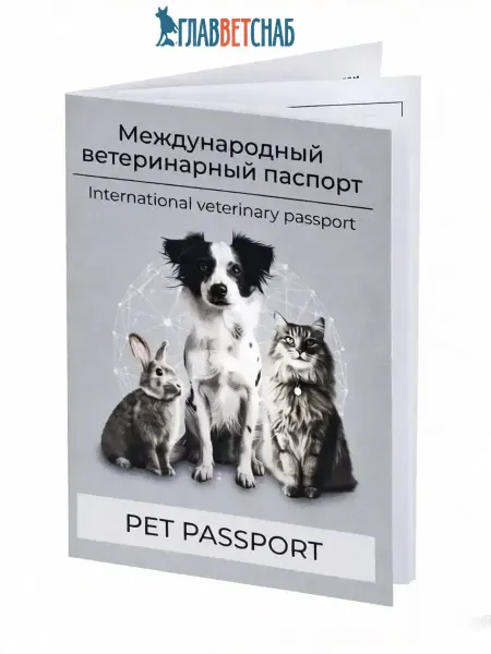 Lyalya&Co Ветеринарный паспорт международный