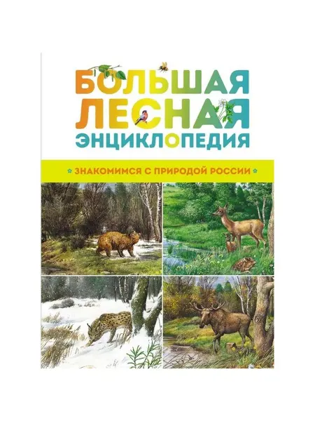 Machaon Большая лесная энциклопедия Иллюстрированная