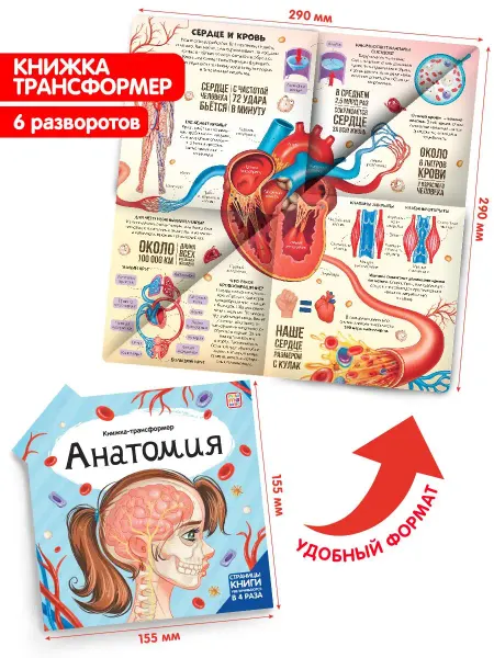 Malamalama Энциклопедия Анатомия Подарок Книжка детская трансформер
