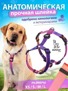 MiAmorPETS Шлейка для собак крупных пород анатомическая, регулируемая, размер L, цвет розово-фиолетовый