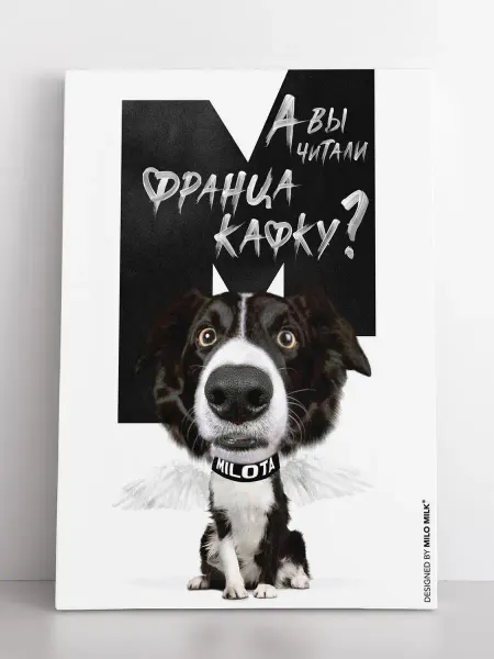 Milo Milk Авторская открытка MILOTA Бордер-колли Читали Франца Кафку?