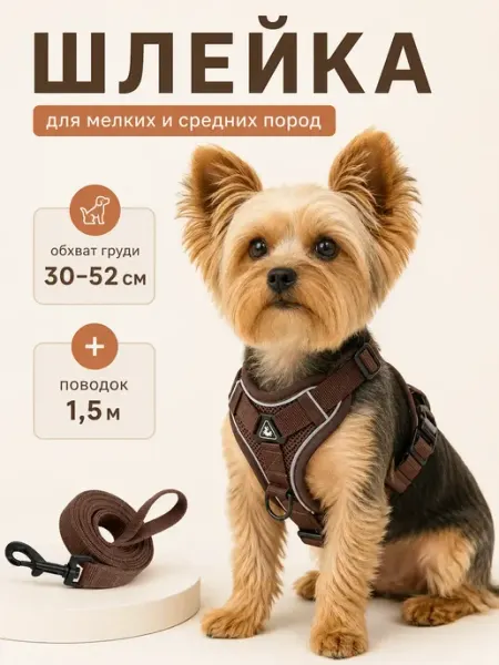 MiloPets Шлейка для собак мелких средних пород и кошек с поводком
