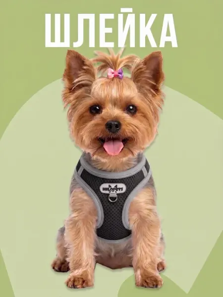 MiloPets Шлейка для собак мелких и средних пород и кошек