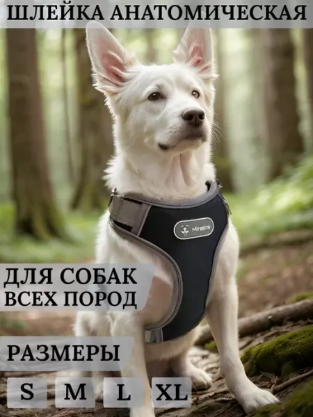 Mirestra Анатомическая шлейка для собак прогулочная