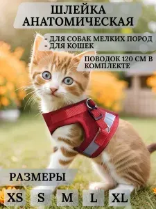 Mirestra Шлейка для собак мелких пород и кошек с поводком