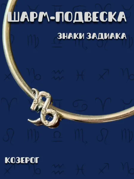 MirVa-Sharm Шарм для браслета Знаки Зодиака Козерог