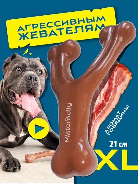 MisterBully Игрушка грызак для собак крупных пород большая прочная кость