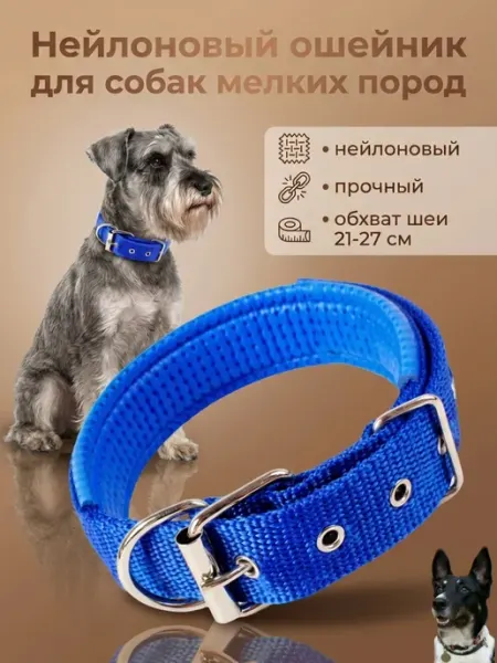 Ошейник для собак мелких пород нейлоновый