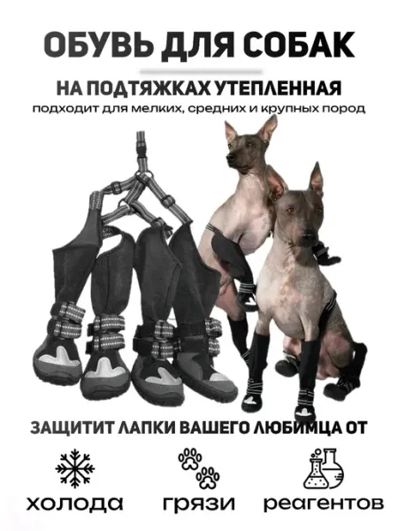 Обувь для собак мелких и средних пород