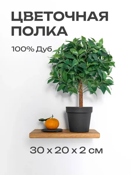 Modern wood Полка настенная навесная деревянная парящая для цветов