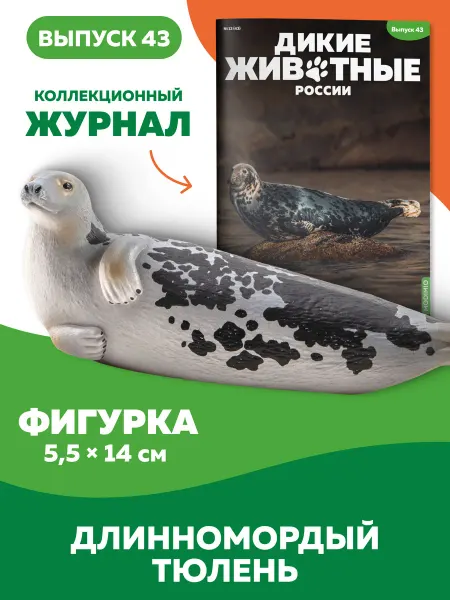 MODIMIO Фигурка Длинномордый тюлень Дикие животные России №43