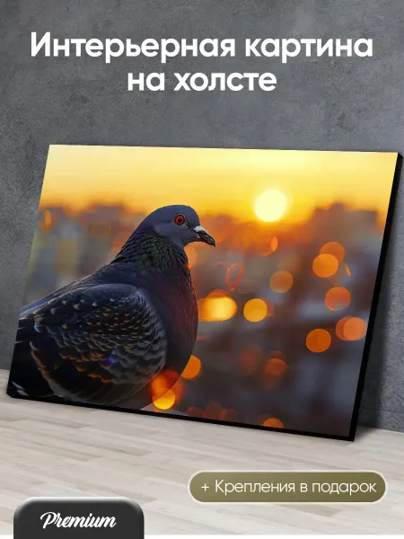 Modulka Картина на холсте Городской голубь