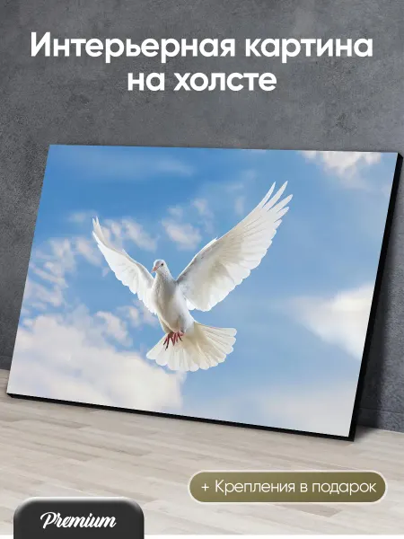 Modulka Картина на холсте Белый голубь в небе