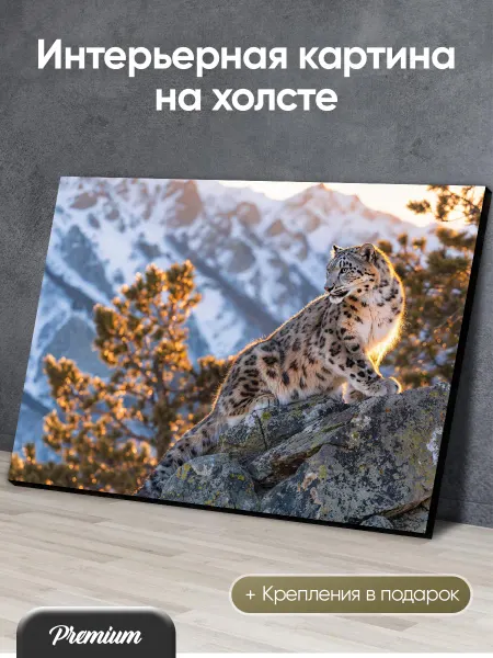 Modulka Картина на холсте Осторожный ирбис