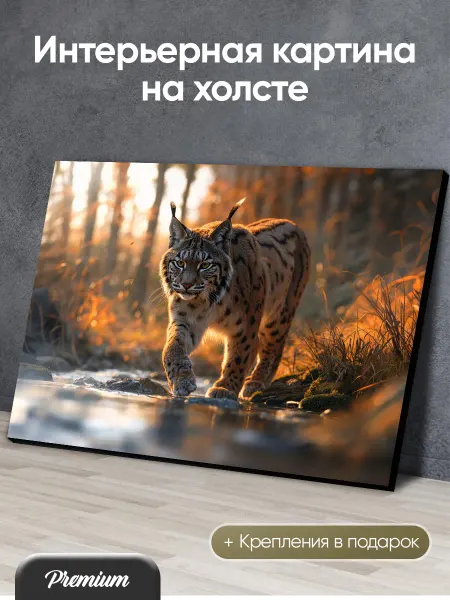 Modulka Картина на холсте Осторожная рысь