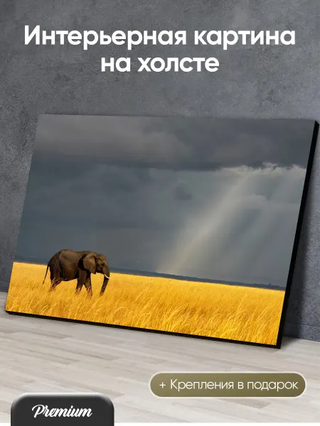 Modulka Большая картина на холсте Слон на поле