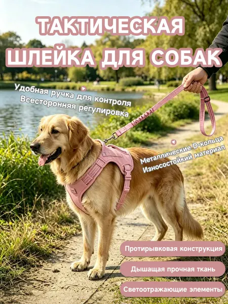 Тактическая шлейка для охотничьих собак, светоотражение, MOL…