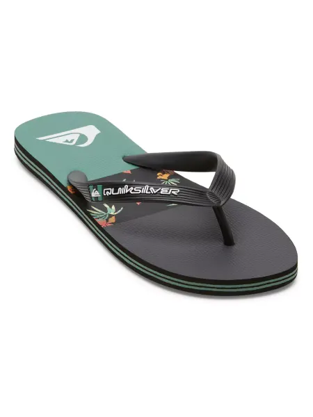 Quiksilver Шлепанцы MOLOKAI STRIPE SNDL XKKG