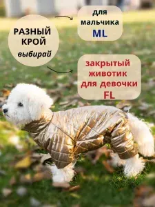Комбинезон для собак мелких и средних пород Mr&Mrs ТЯФ
