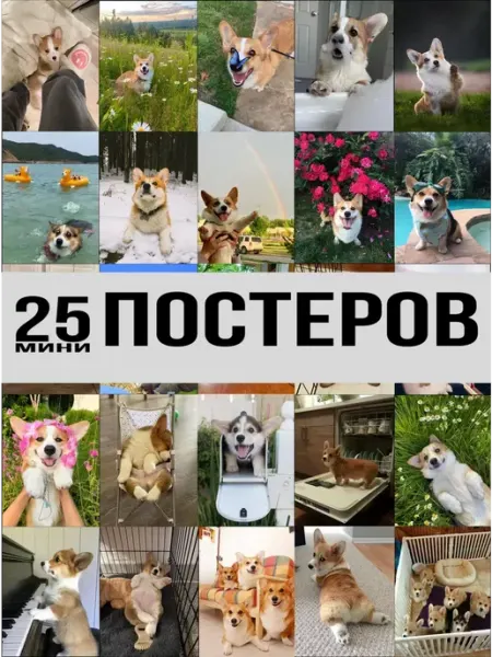 StickerHouse Natali Pank постеры Корги Карточки