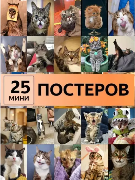 StickerHouse Natali Pank Смешные котики постеры