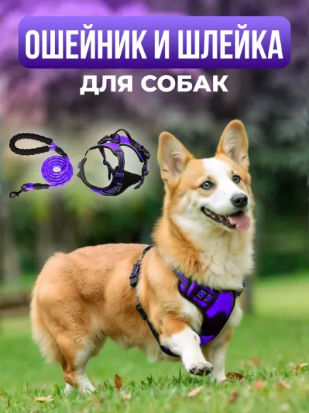 Шлейки для собак, с нейлоновым поводком, для прогулок