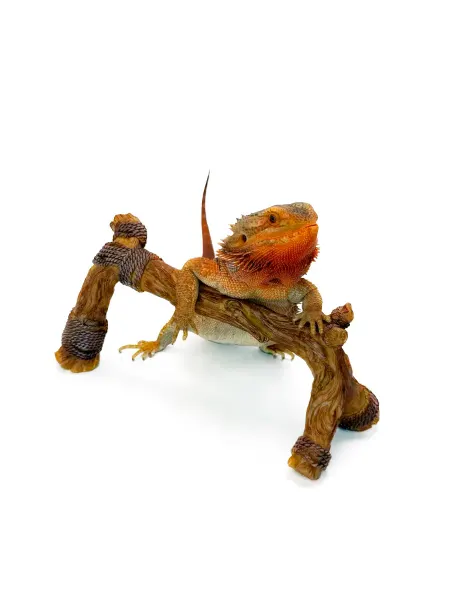 NOMOY PET Декоративная коряга из пластика