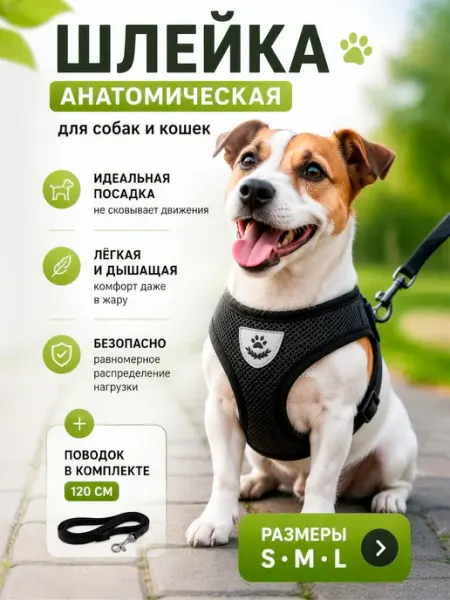 Nooza Шлейка для кошек и собак мелких и средних пород